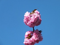 spring13d (18)